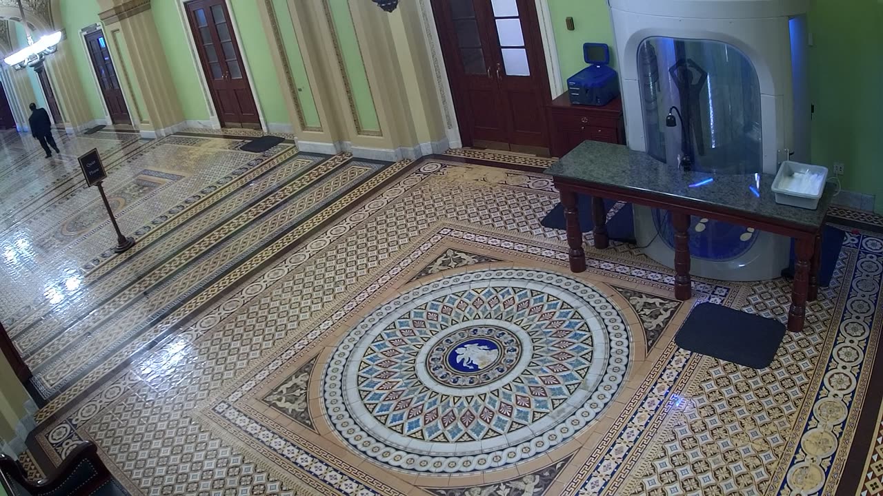 0303USCS03SenateGallerySEnearS309_2021-01-06_14h04min19s587ms.mp4