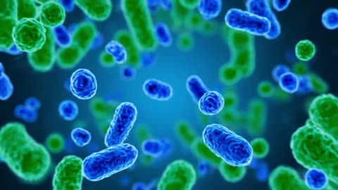 How Children Build Natural Immunity: A Doctor’s Guide to Strong, Healthy Defenses