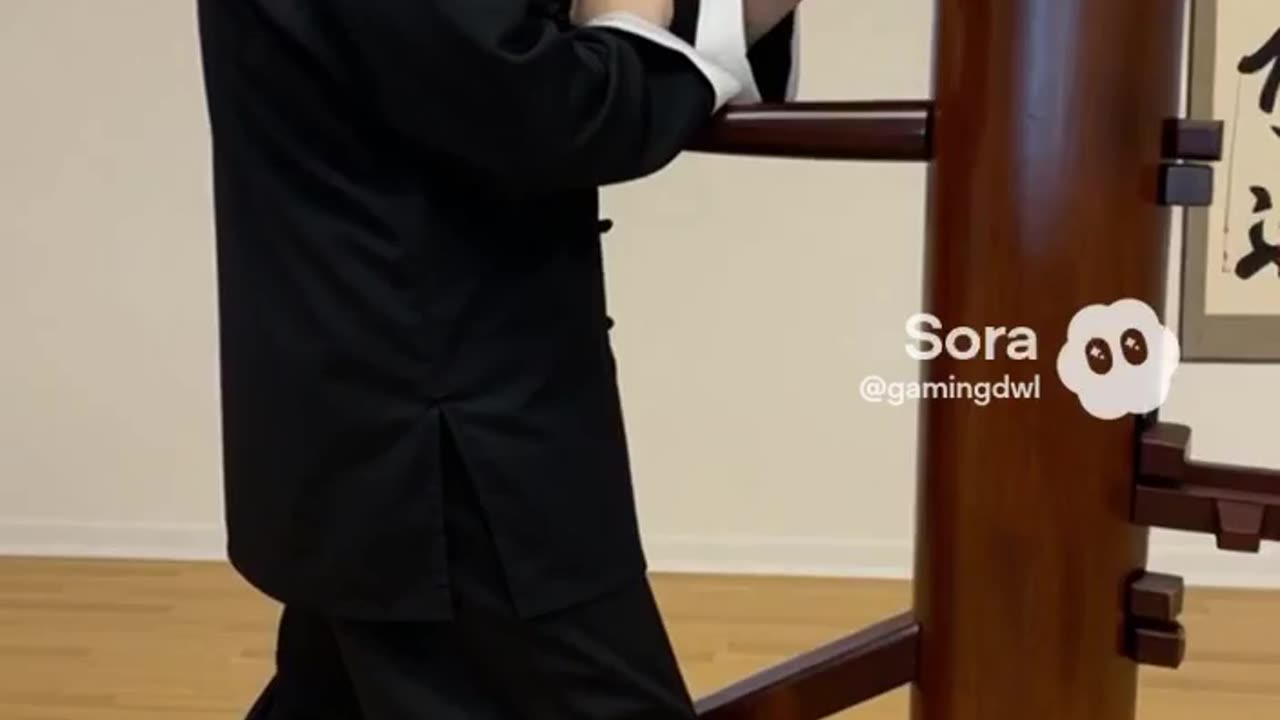 What if i was ip man?