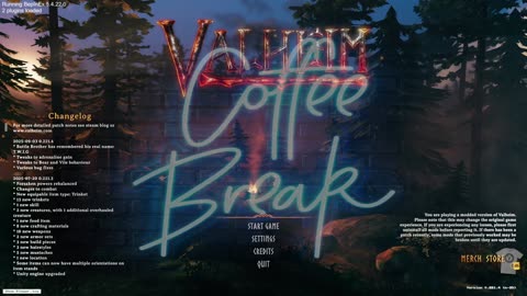 Valheim - chill