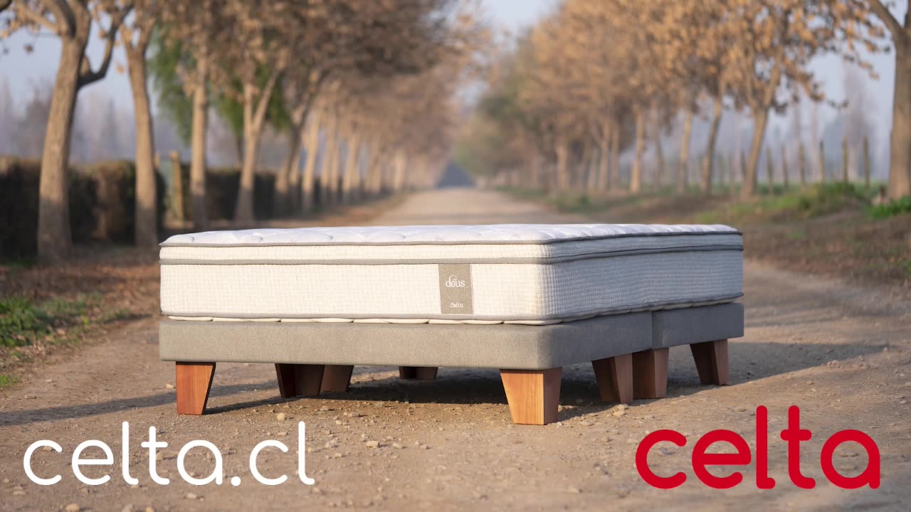 ESTADIO LLENO 12/01/2026