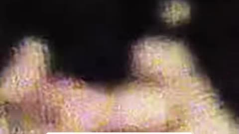 🔭👁️ UFO / UAP sighting in Brazil on August 3, 2025! | TheTruthAbove