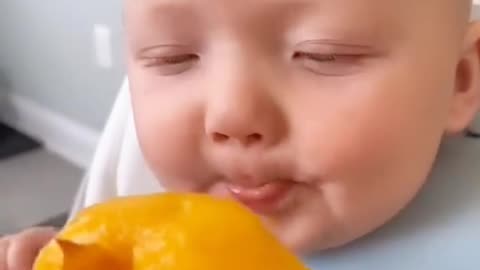 Cute Baby Video | 004