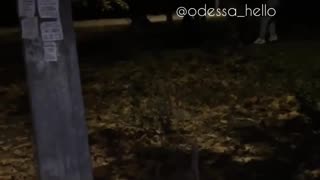 🙏🚔 Ukraine Russia War | Local Woman Saves Man from Busification in Odesa | RCF