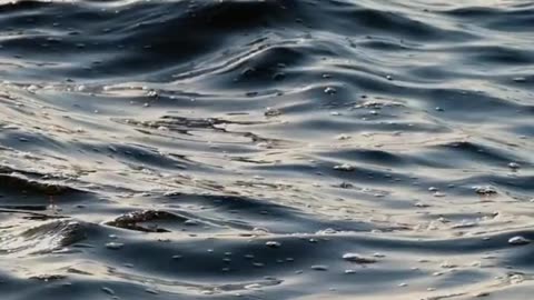 Daily Horoscope | Aquarius 🌟