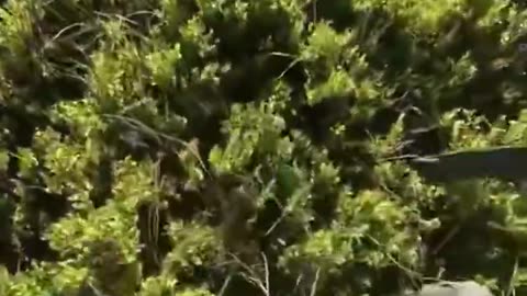 Ukraine war combat footage 10/11/25