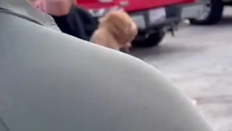 Karen boaters get more than they bargained for