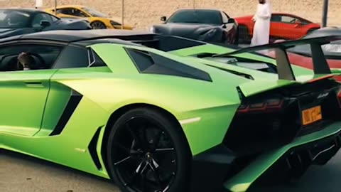 📸👑 Luxury Car Heaven in Oman! | LuxurySportsCars