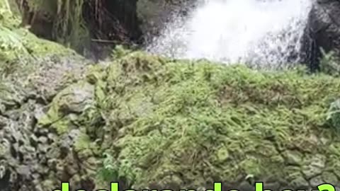 😊 227 “TU PALABRA ATRAE LO QUE ESPERAS” Salmo 81:10 😊