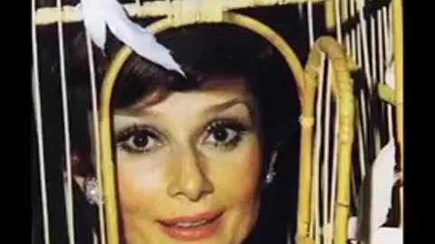 Photos of inside the Rothschild surrealist ball of 1972