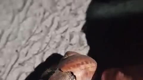 Making friends with the hermit crabs 🐚 #lovethailand