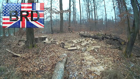 #Verbrannte_Erde; Nutznießer der Wald-Plünderung!