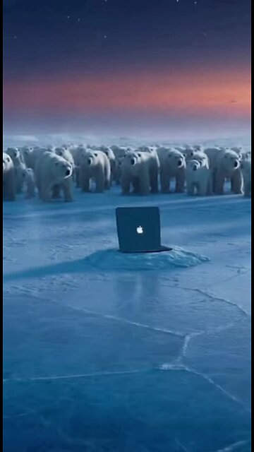 100 Polar Bear vs 1 M5 MacBook Air (Sora 2026)