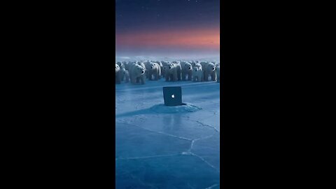 100 Polar Bear vs 1 M5 MacBook Air (Sora 2026)