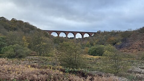 03/11/25 15mile trail run with willow