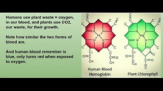 Craig Lane Health Alkemy - PESTO Sauce! The Basics and Simple Fun