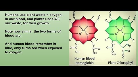 Craig Lane Health Alkemy - PESTO Sauce! The Basics and Simple Fun