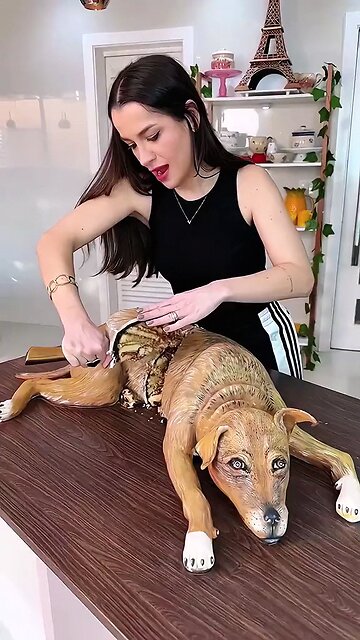 crazy prank of dog shape cake cutting | woman rocks dog shocks | crazy prank with pet dog | funniest