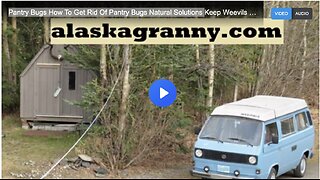 Pantry Bugs How To Get Rid Of Pantry Bugs Natural Solutions Keep Weevils Out Of Food