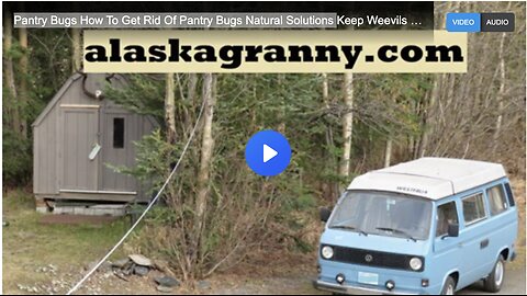 Pantry Bugs How To Get Rid Of Pantry Bugs Natural Solutions Keep Weevils Out Of Food