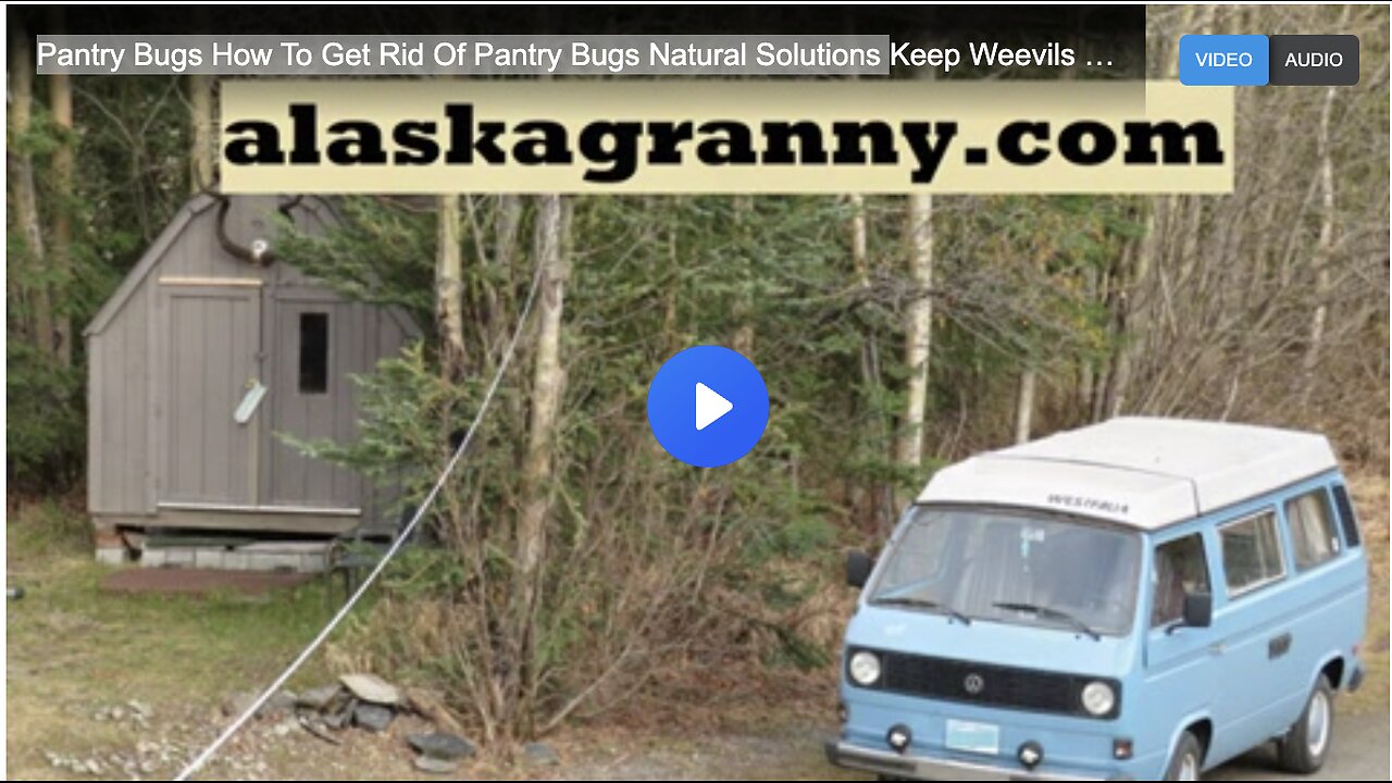 Pantry Bugs How To Get Rid Of Pantry Bugs Natural Solutions Keep Weevils Out Of Food
