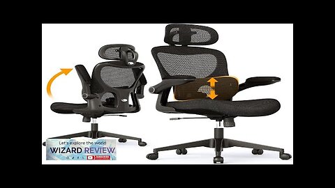 SUNNOW Ergonomic Mesh Office Chair High Back Desk Chair with Adjustable Lumbar Review