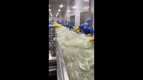 Story of Boroline Antiseptic Cream