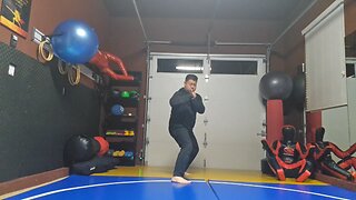 WTD Round Kick to Hook Kick sequential