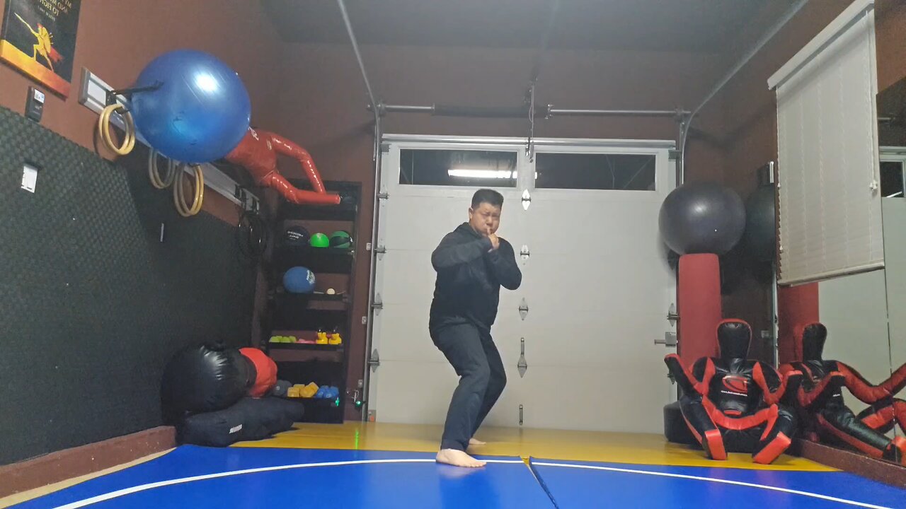 WTD Round Kick to Hook Kick sequential