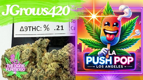 Trying LA Push Pop THCa from JGrows420! The Dank Flamingo Cannabis Review!!