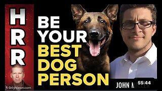 Understanding Dogs, Training with a Purpose