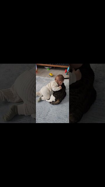 The blind kitten and my baby that I rescued and adopted became