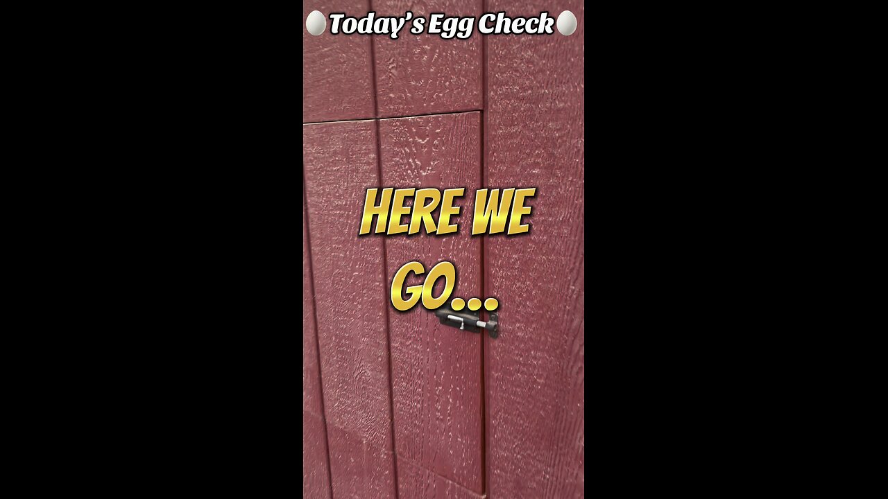 Today’s Egg Check!