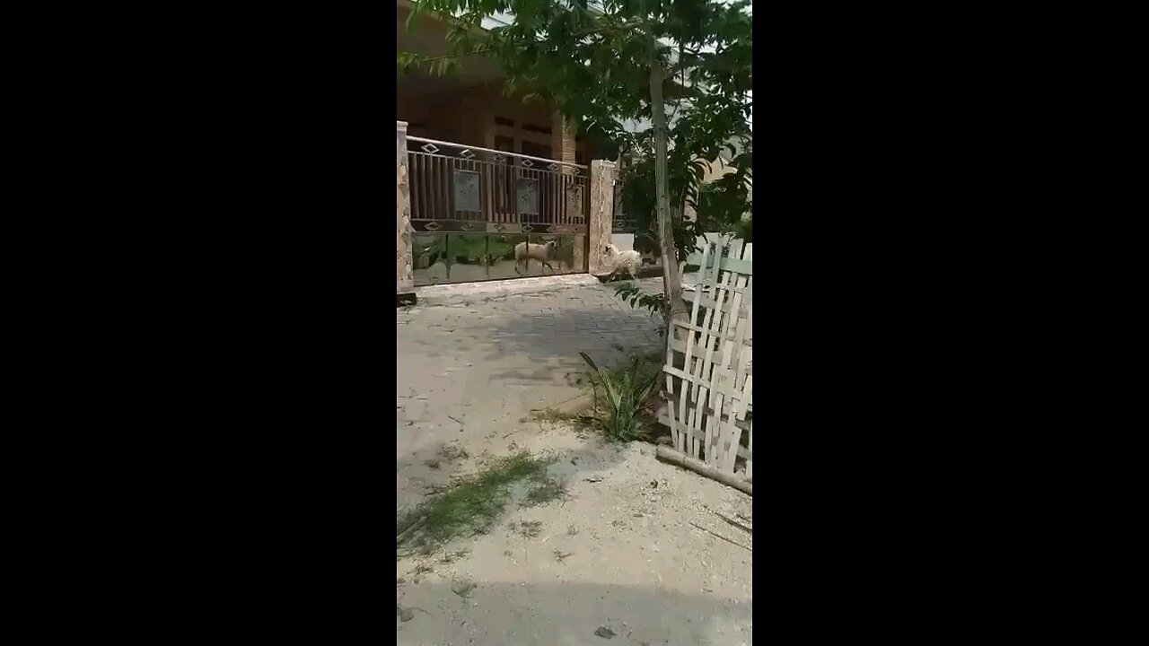 നിന്നെ ഇപ്പോ ശെരിയാക്കി തരാഡ