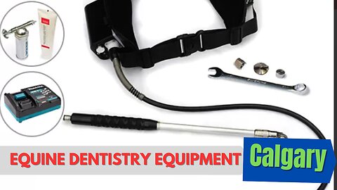 How to Find Calgary Equine Dentistry Equipment