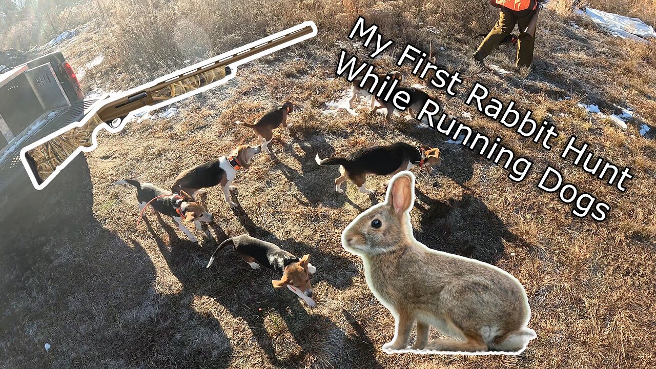 Running Rabbits for the First Time