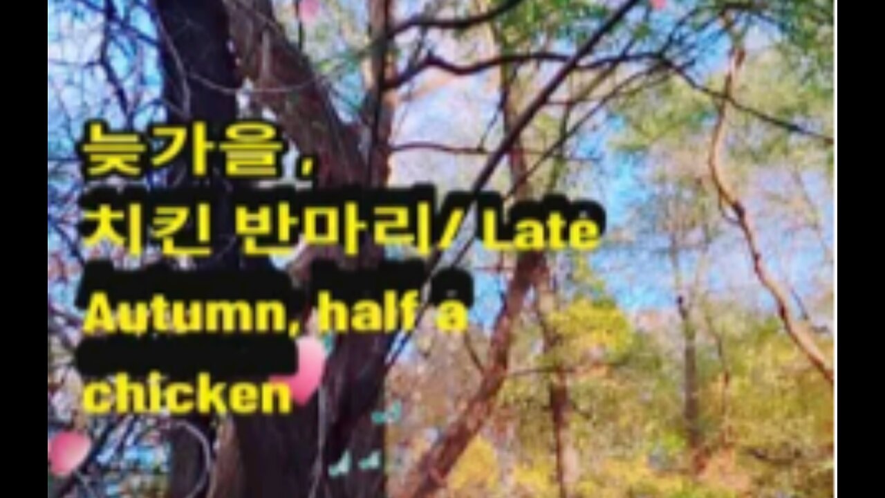 Vlog)늦가을 치킨 반마리/ Late Autumn, half a chicken.