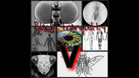 Black Tranquility V (Coming Soon)