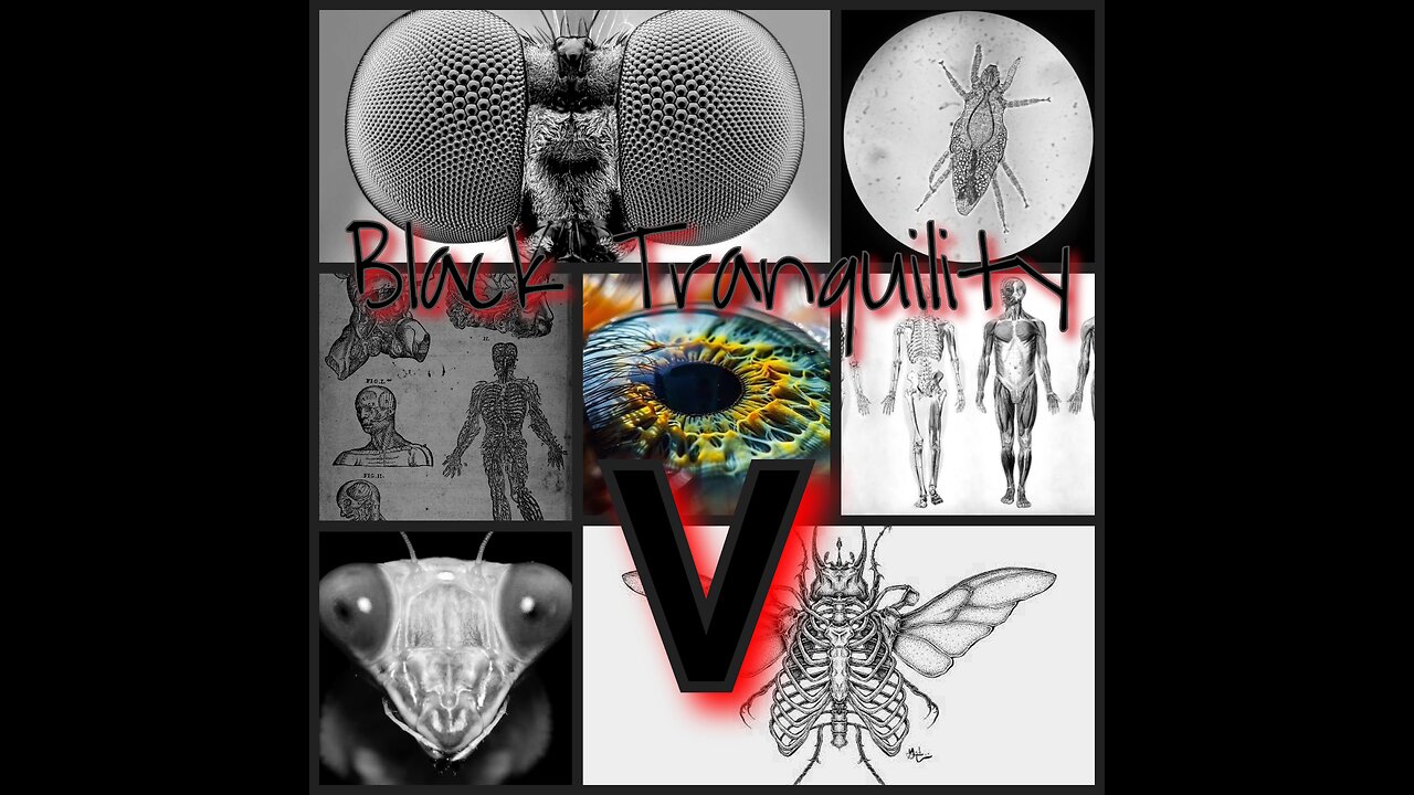 Black Tranquility V (Coming Soon)