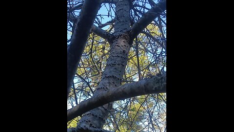 Basque'ing Tel Aviv Biden rest