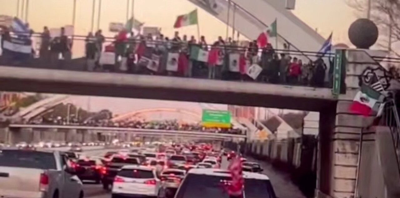 Not a Single American Flag in Sight, Only Flags of the Country they Claim Not to Want to Go Back to