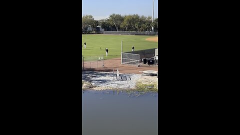 New York Yankees warming up