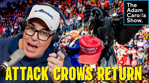 Deontay Wilder On Fighting With No Rules & Possibly Joining UFC