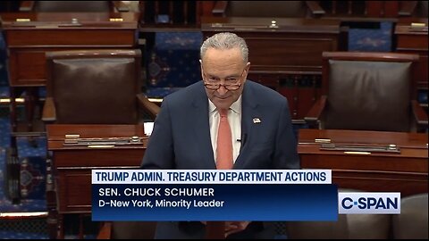 Sen Chuck Schumer Whines About Elon Musk, DOGE