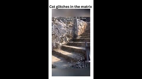 Is this the Matrix, or are these cats just messing with reality? 🐾👀 Watch closely... glitches