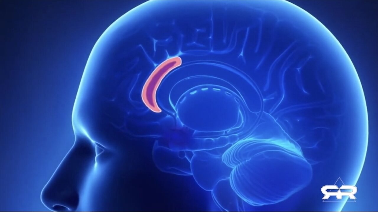 Gratitude is a Super Power