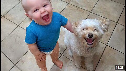 Adorable Baby & Dog Moments You Must See!😍 Animal and Human Videos 2025