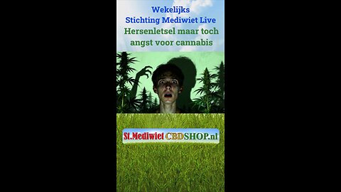 Hersenschade maar toch angst voor cannabis