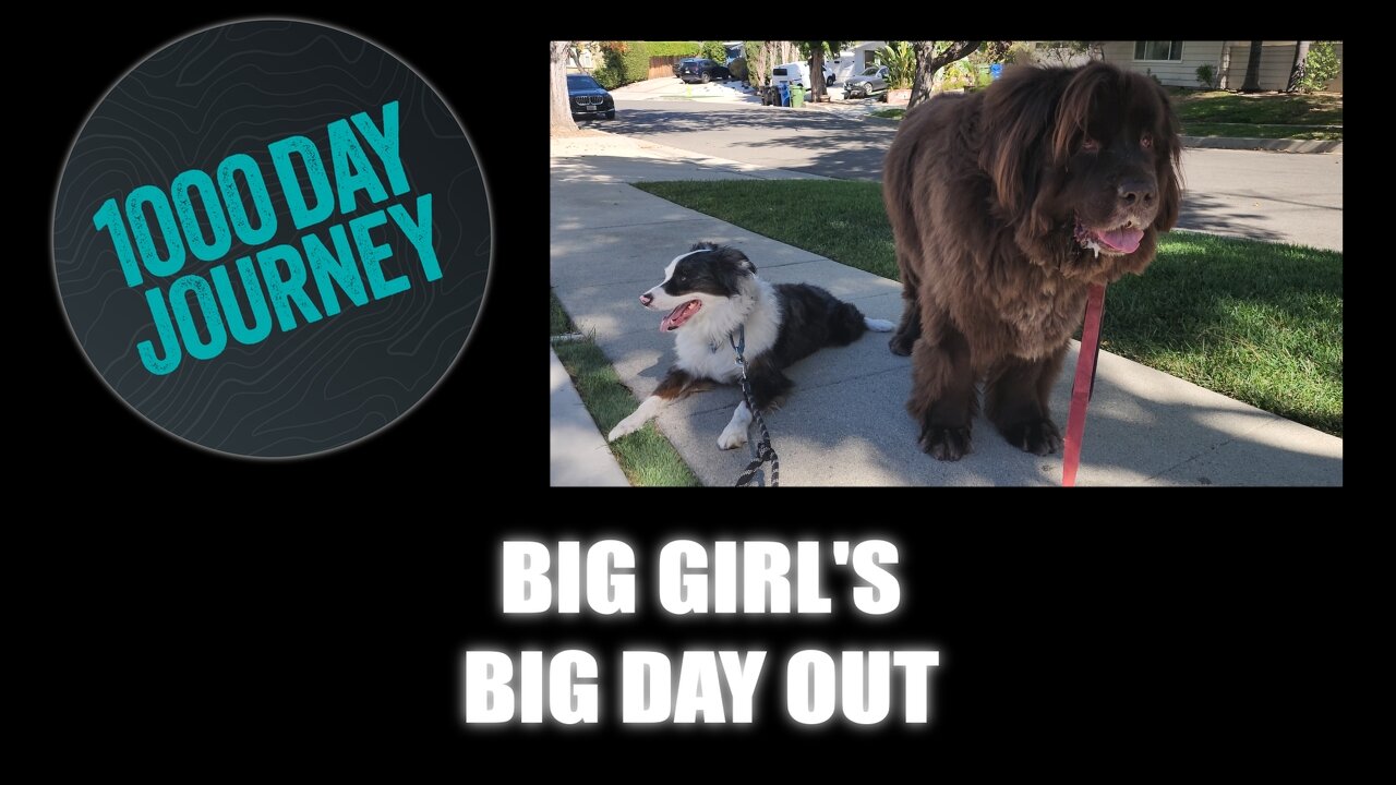 1000 Day Journey 0816 Big Girl's Big Day Out