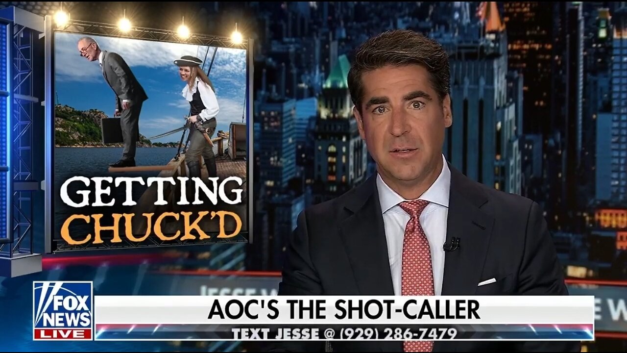 Watters: Democrats Are Staging Another Coup